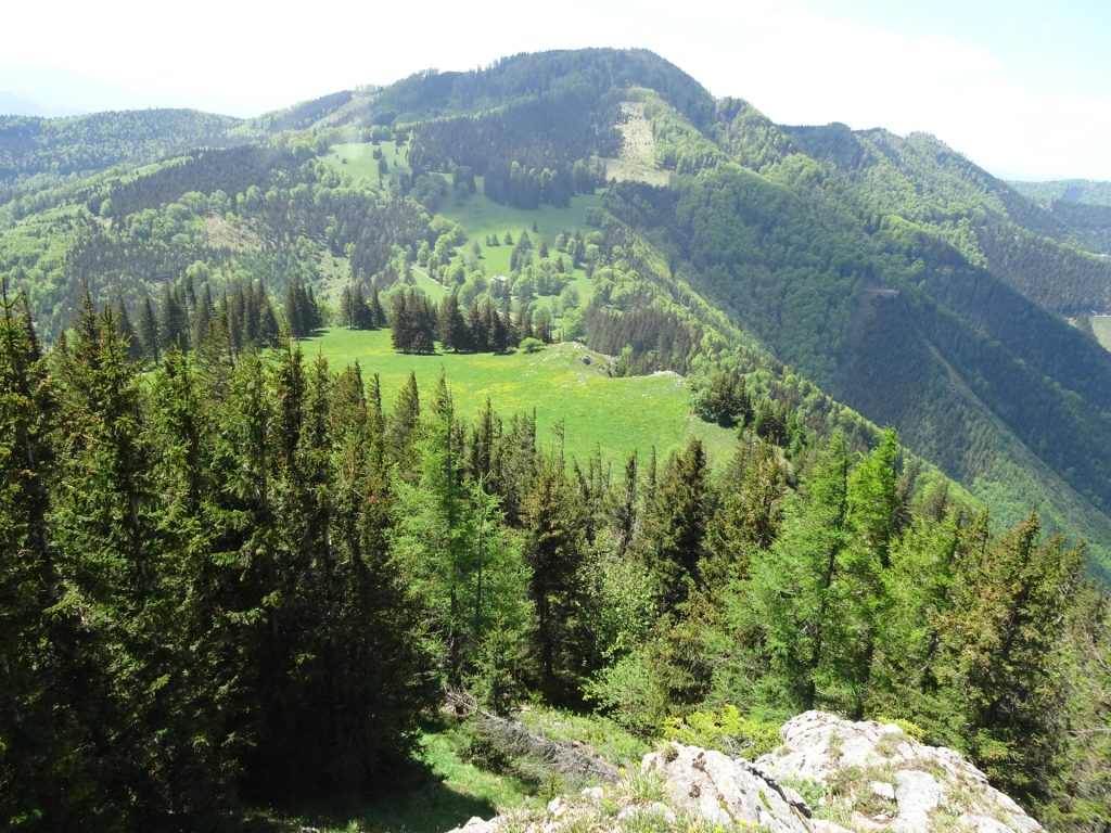 View from the trail towards <i>Kleinzeller Hinteralm</i>