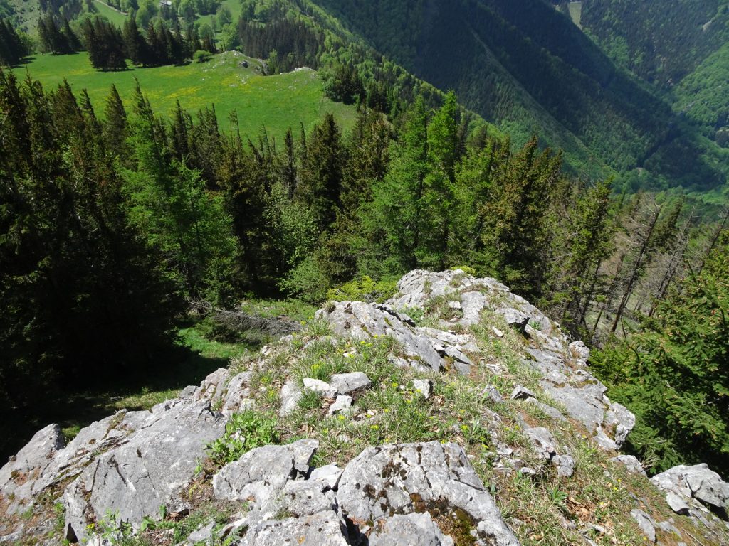 View from the trail towards <i>Kleinzeller Hinteralm</i>