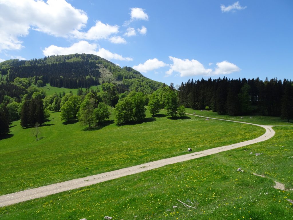Follow the forest road to <i>Kleinzeller Hinteralm</i>