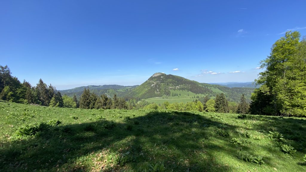 On the way back towards <i>Kleinzeller Hinteralm</i>