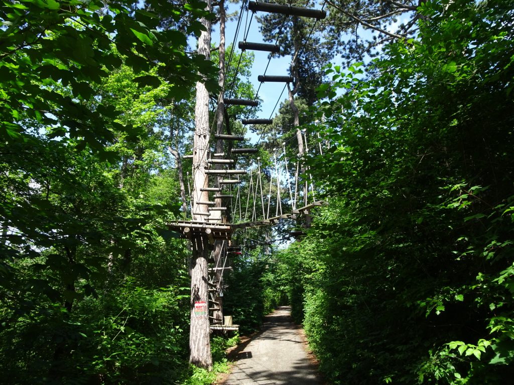 Trail through the climbing park