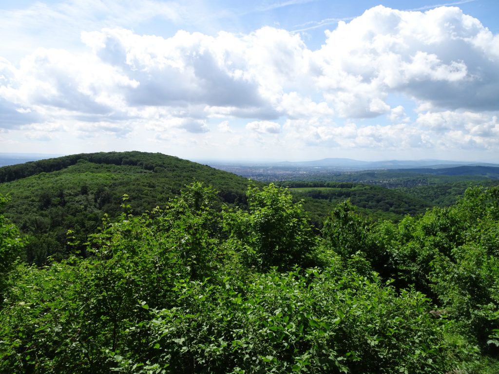 View from <i>Vogelsangberg</i>