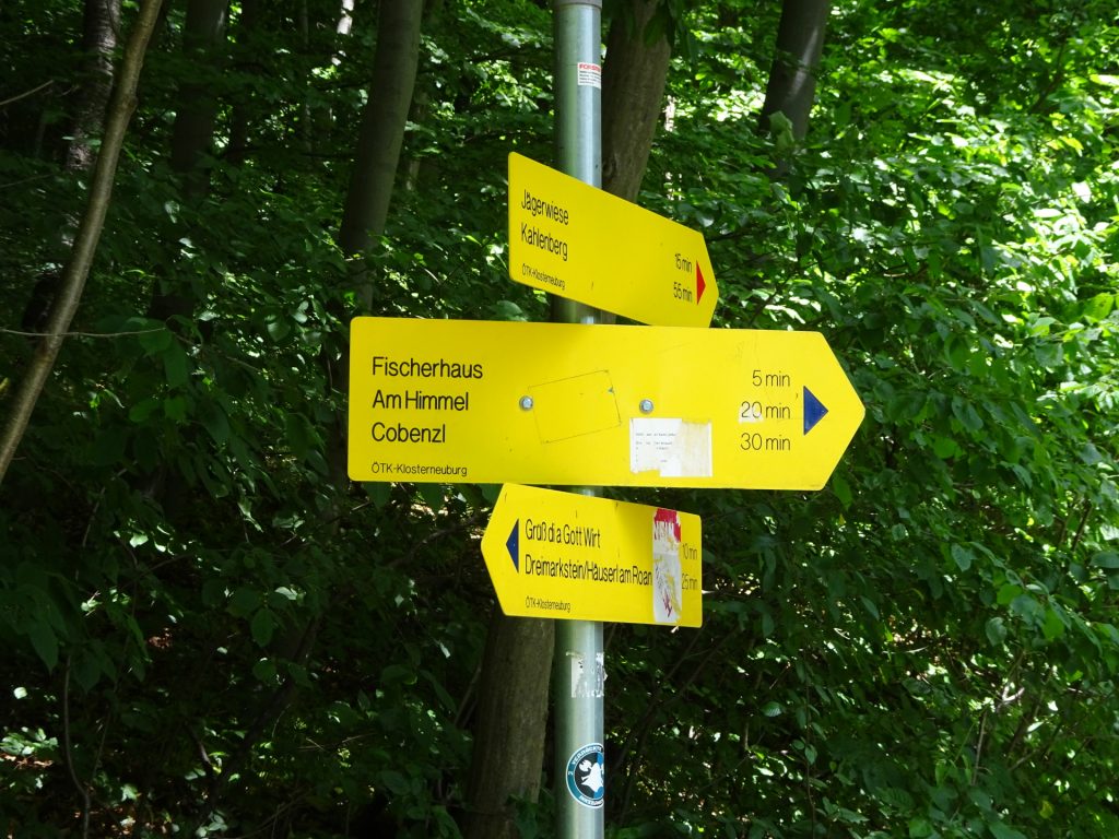 Follow the trail towards <i>Fischerhaus/Cobenzl</i> 