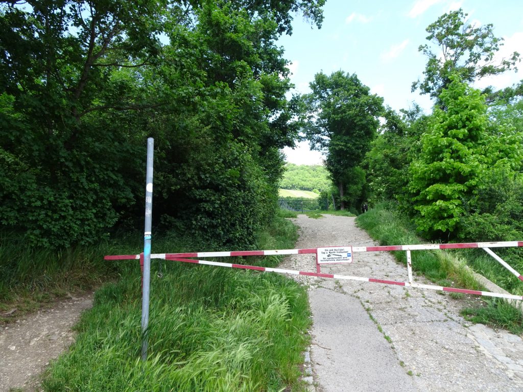 Follow this trail at <i>Krapfenwaldl</i> through the vineyards