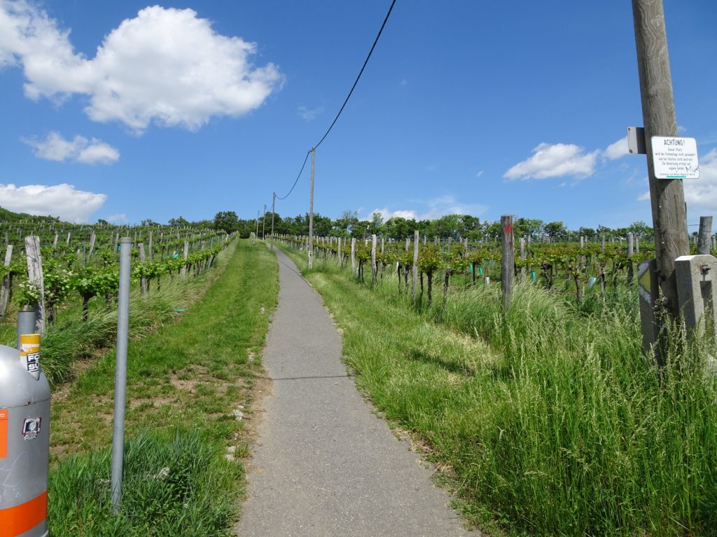 Follow this trail back to <i>Kahlenbergdorf</i>