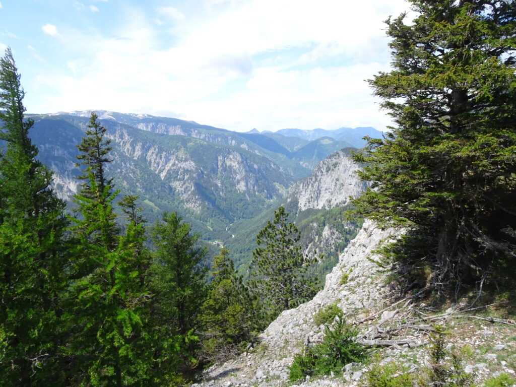 View from the scenic trail up to <i>Krummbachstein</i>