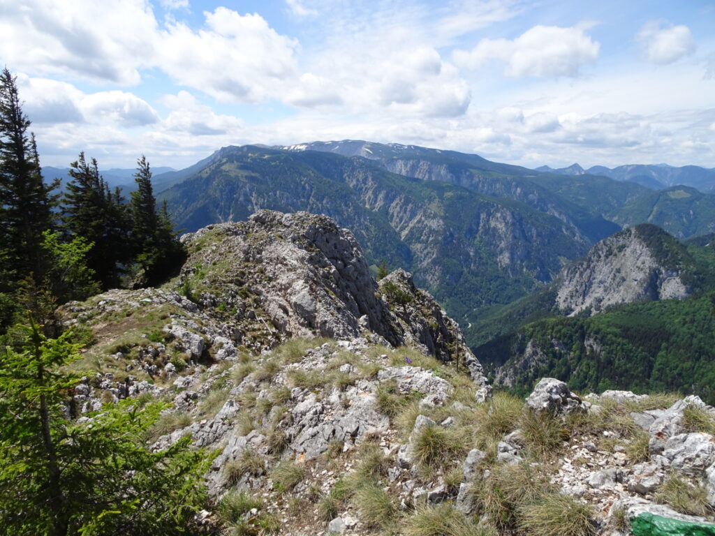 View from the scenic trail up to <i>Krummbachstein</i>