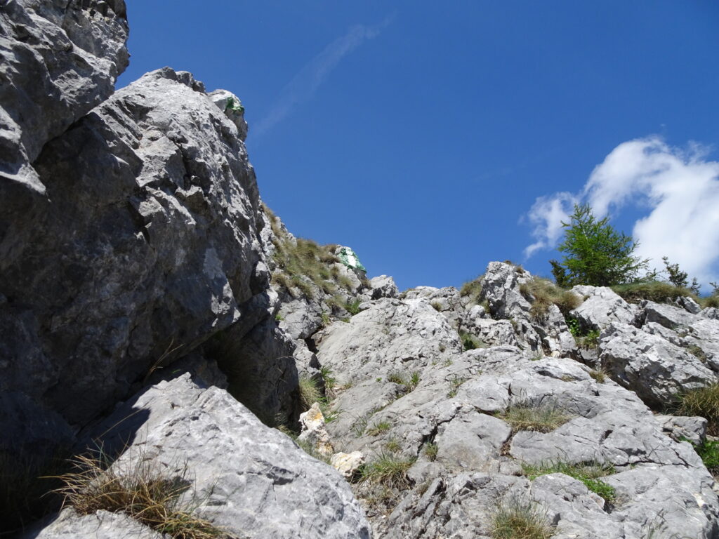 Final climb up to <i>Krummbachstein</i>