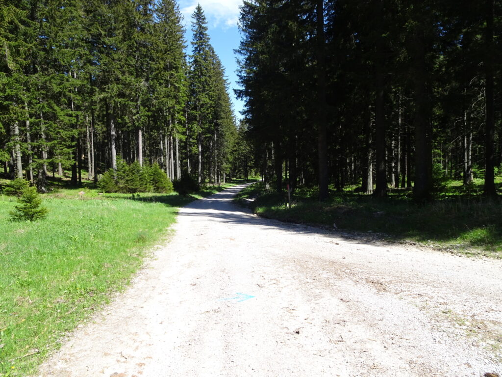 Towards <i>Waldburgangerhütte</i>