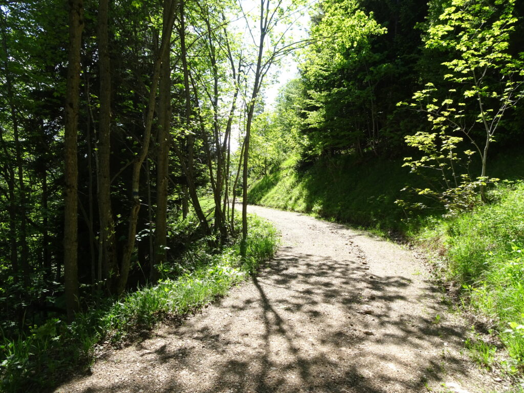 Follow the green marked trail towards <i>Payerbach</i> and <i>Jubiläumsaussicht</i>