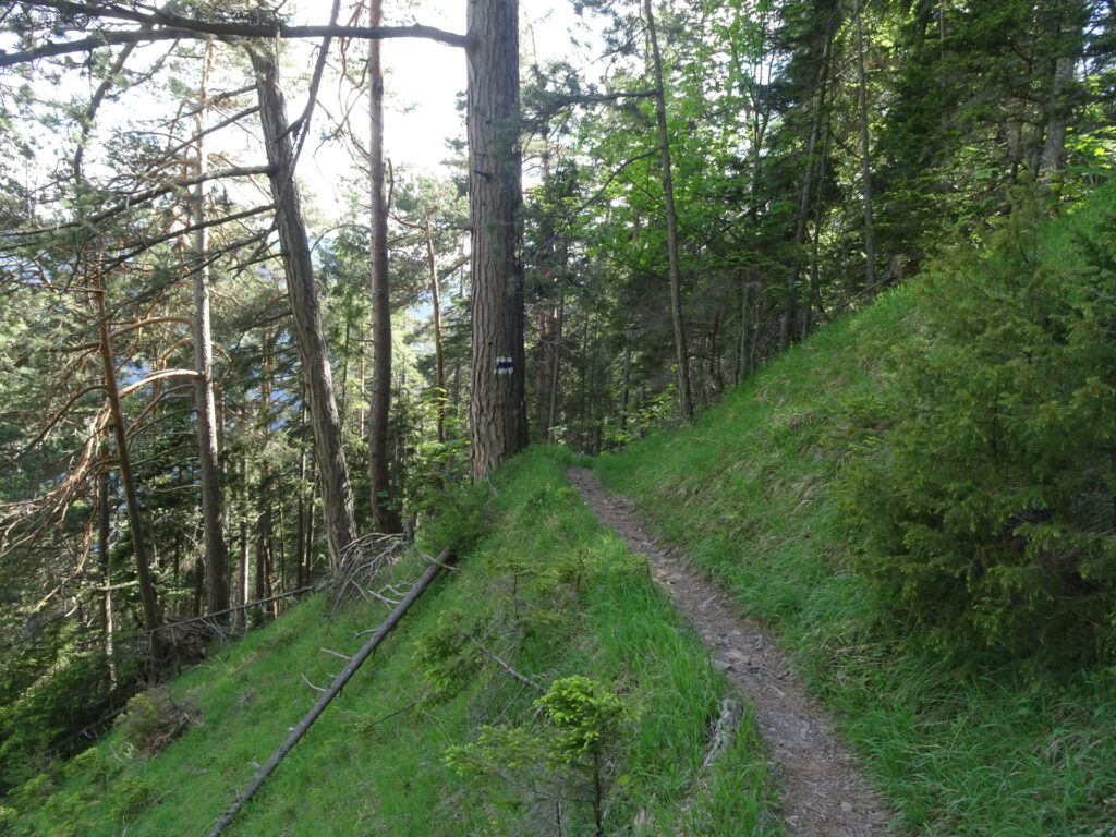 Follow the marked trail towards <i>Jubiläumsaussicht</i>