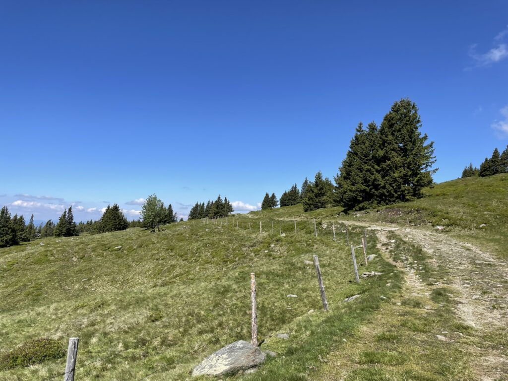On the trail towards <i>Hochwechsel</i>