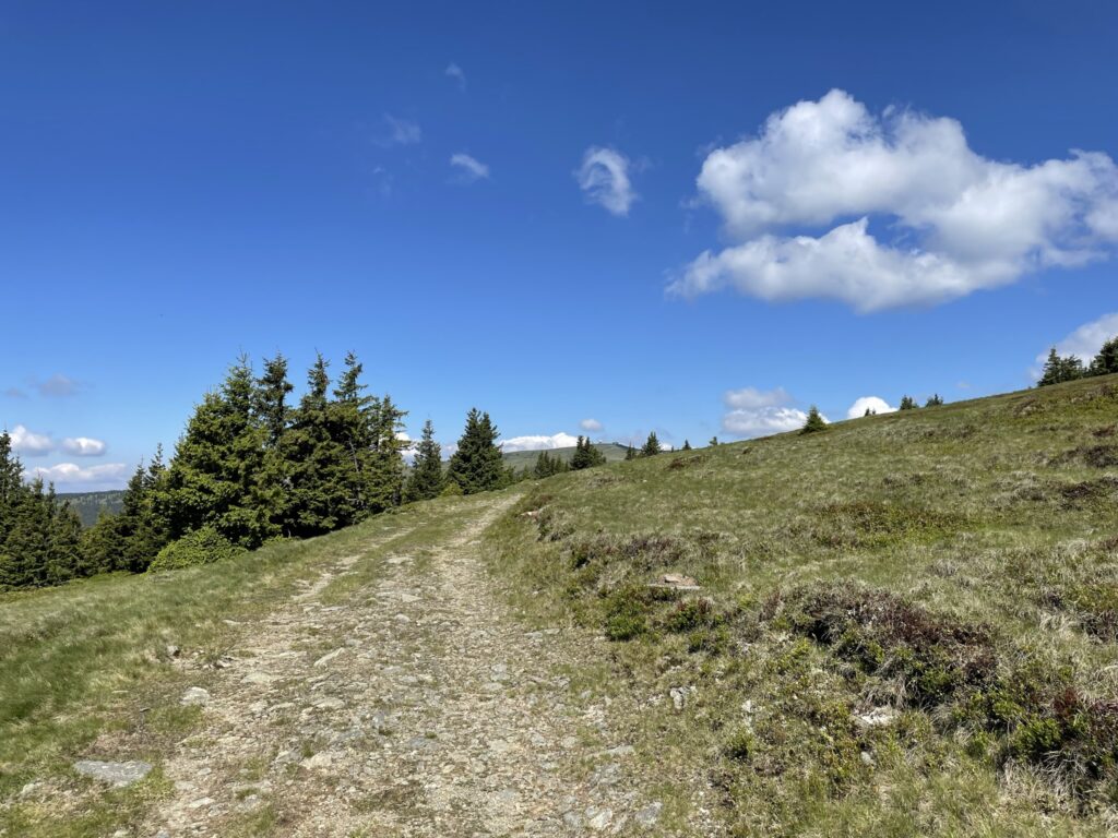 On the trail towards <i>Hochwechsel</i>