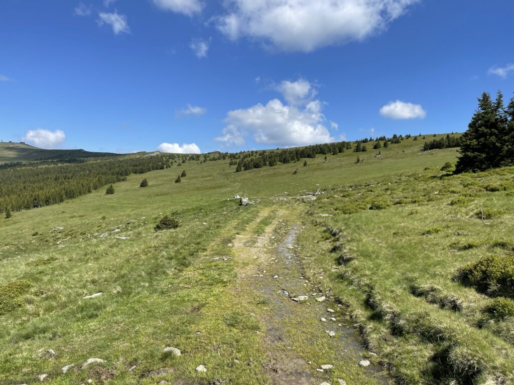 On the trail towards <i>Hochwechsel</i>