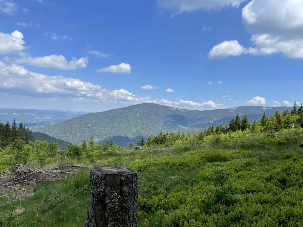 At the <i>Alpkogelhütte</i>