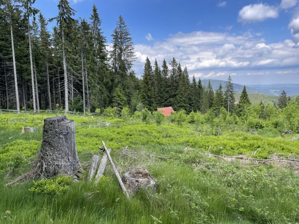 Passing by <i>Alpkogelhütte</i>