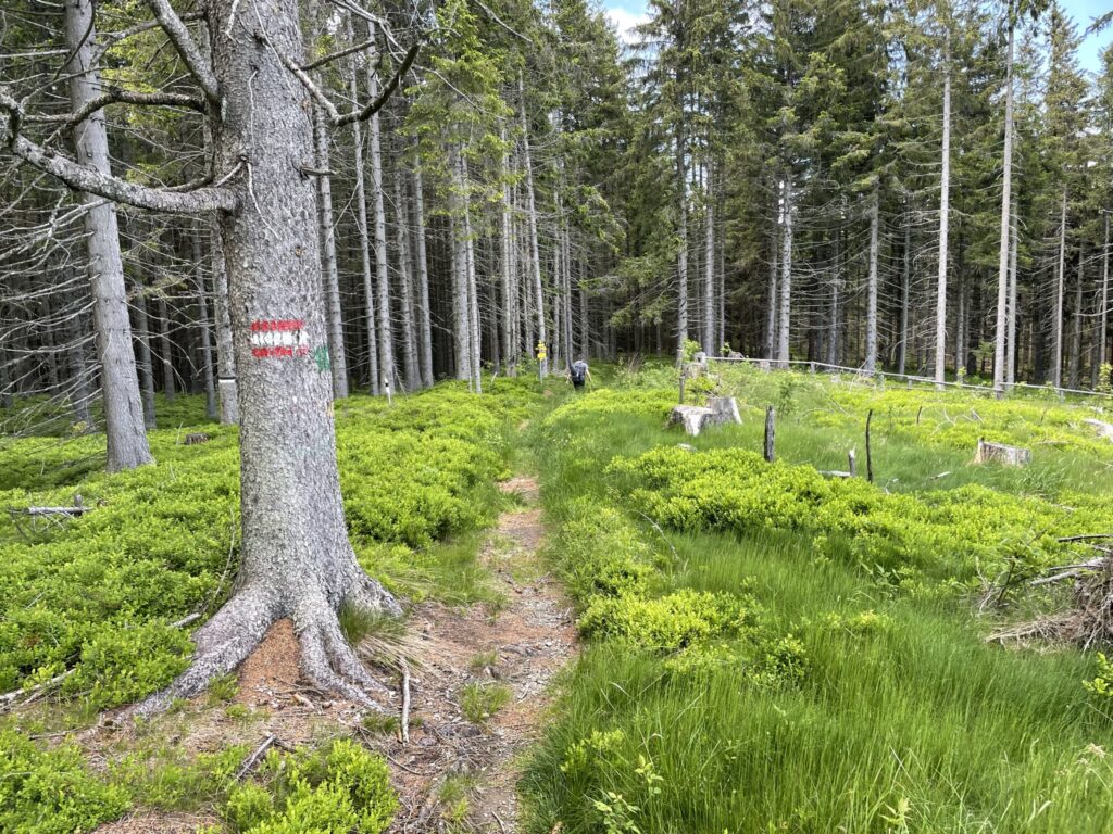 Robert at the trail next to <i>Alpkogelhütte</i>