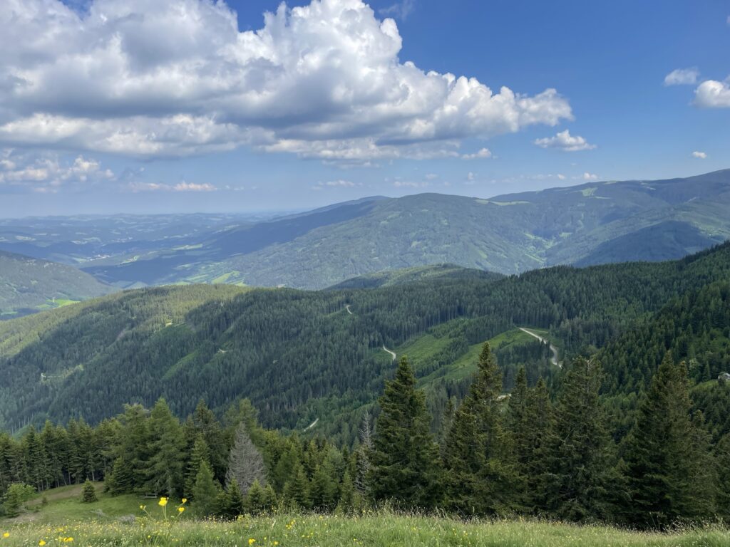 View from <i>Erzkogel</i>