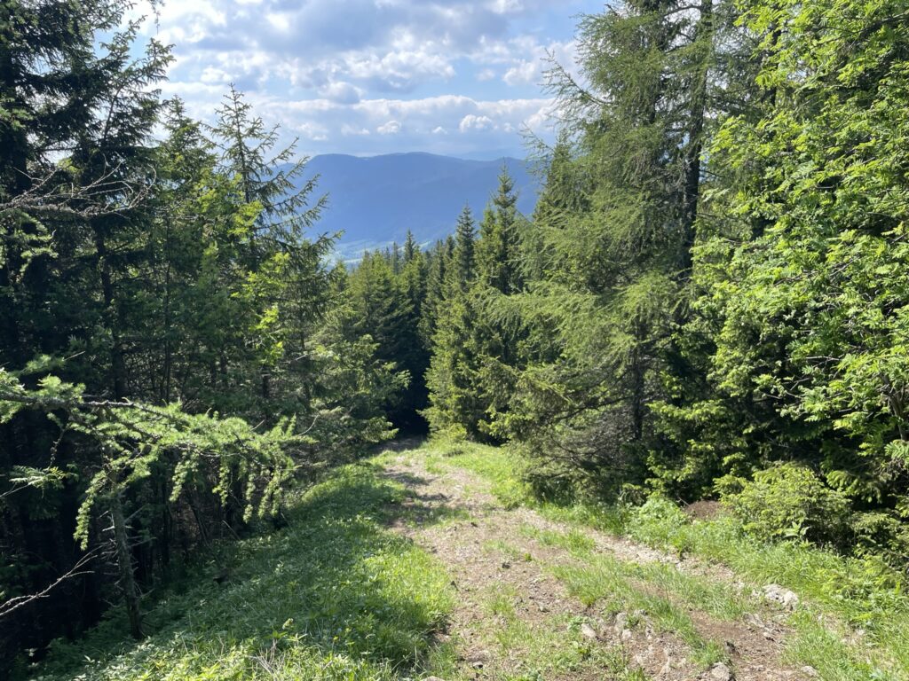 Towards <i>Semmering</i>