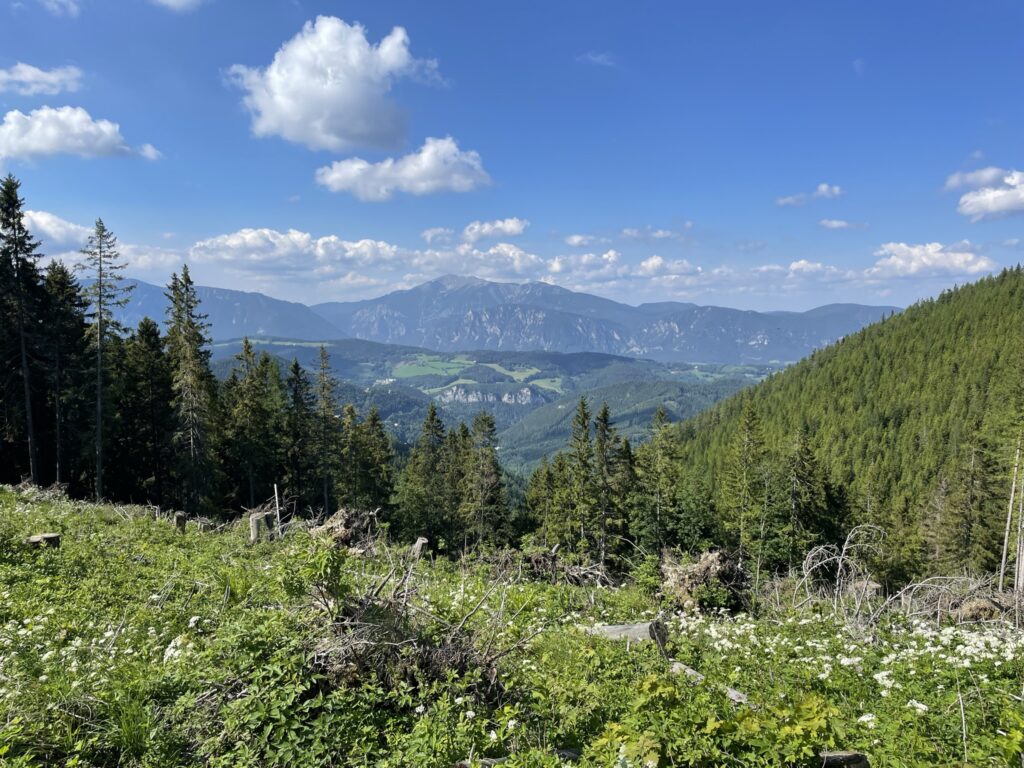 Towards <i>Semmering</i>