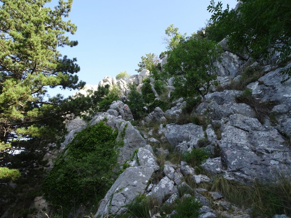 The steep and technical most difficult part up to <i>Kula</i> (protected with fixed ropes)