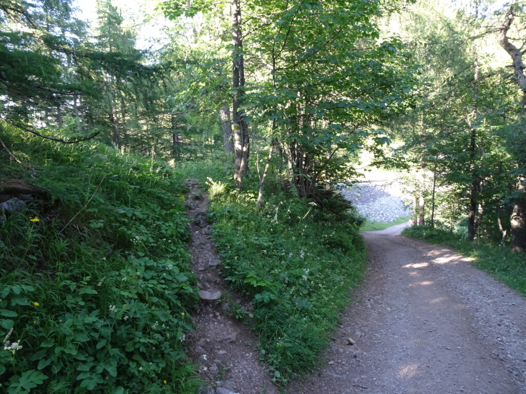 Turn left here and follow the yellow-marked trail!