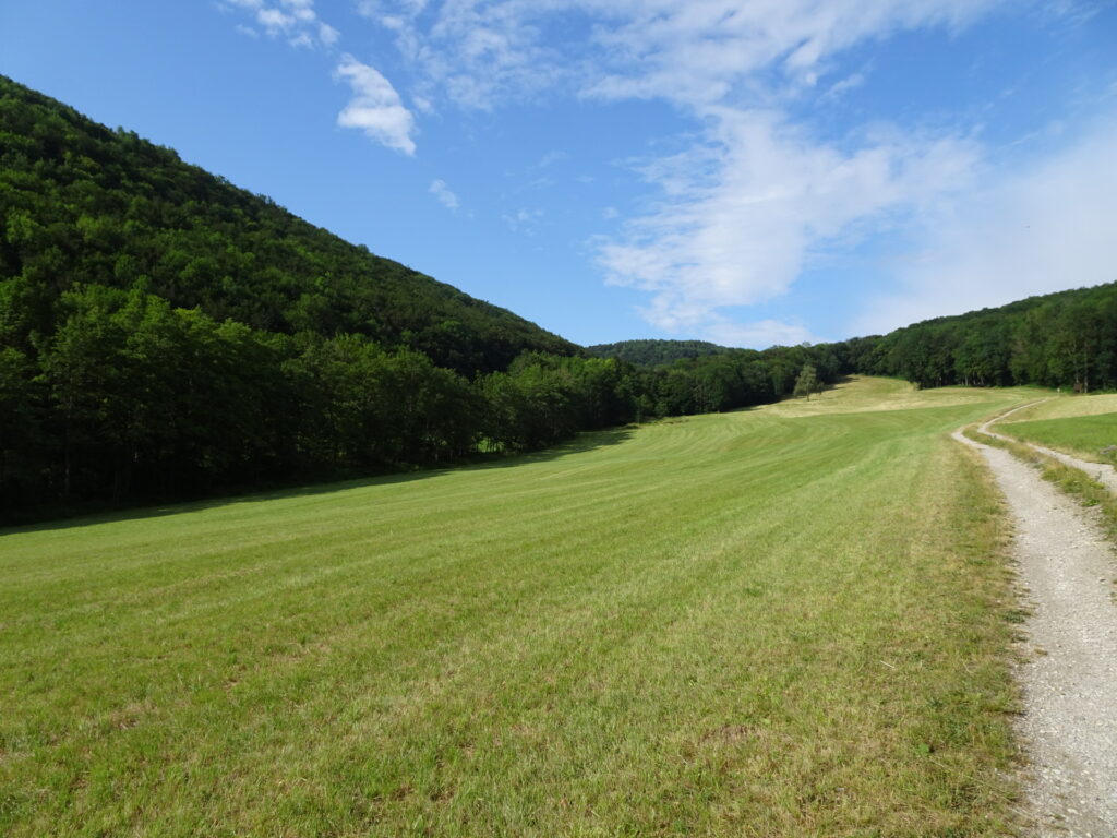 Trail through the <i>Peilsteinwiese</i>