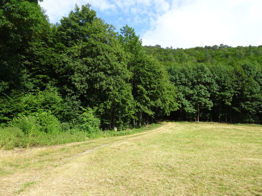 Trail towards the <i>Wandfußsteig</i>