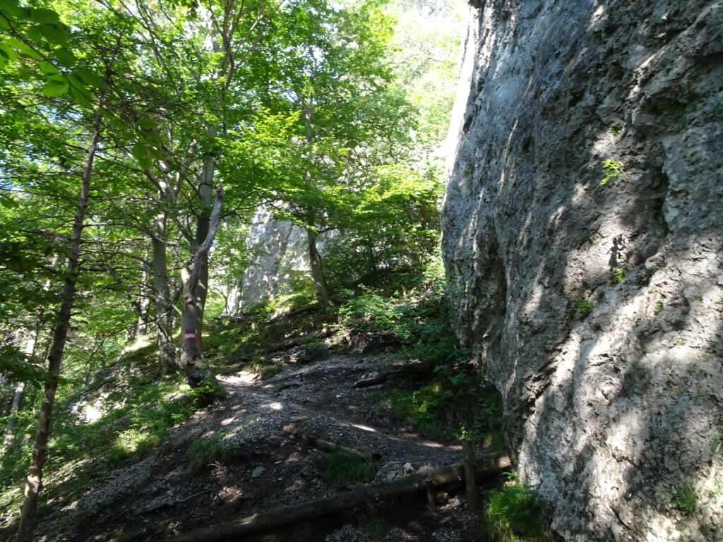 Following the <i>Wandfußsteig</i> along the wall