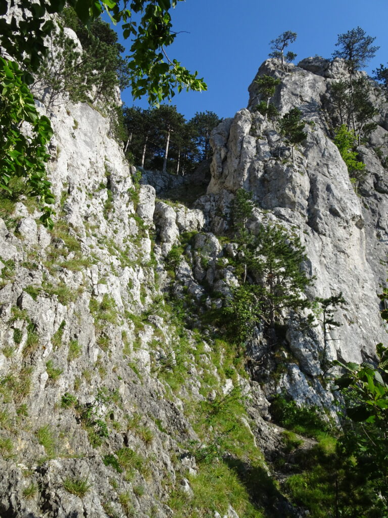 The <i>Coloir-Stiege</i> via ferrata (towards the trees, then up the wall, left around the tower)