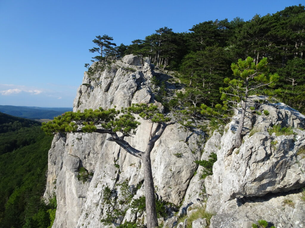 View from the <i>Coloir-Stiege</i>