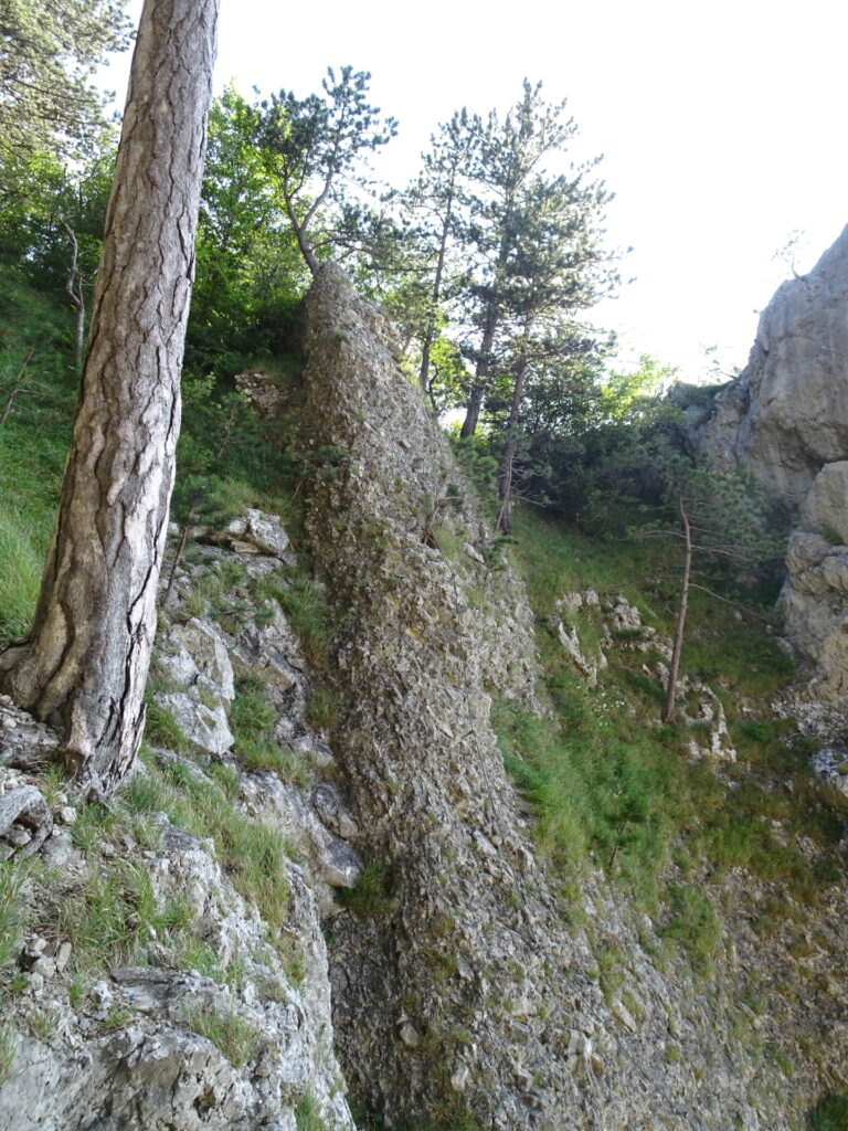 The ridge towards the exit of <i>Coloir-Stiege</i>