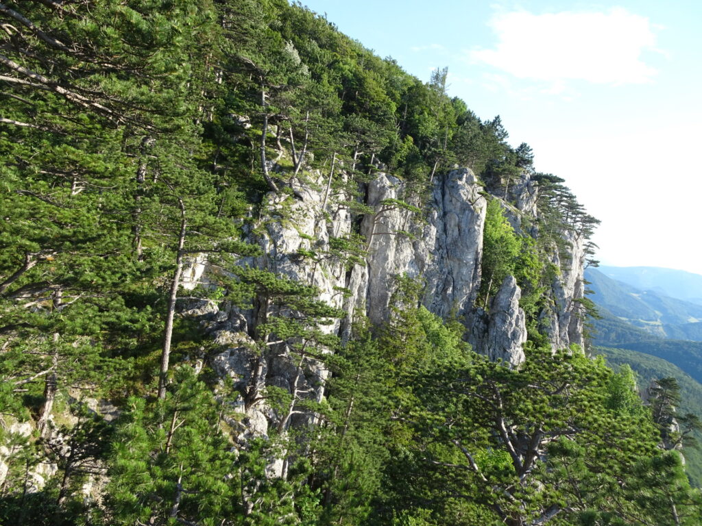 View from the top of <i>Haserlstiege</i>