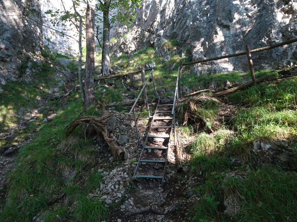 Follow this ladder up to the top of <i>Matterhornstiege</i>