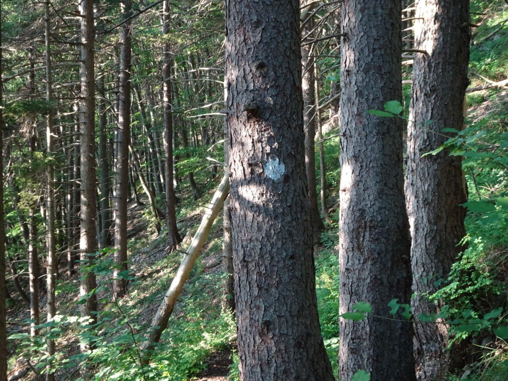 Follow the trail with the over-painted markings