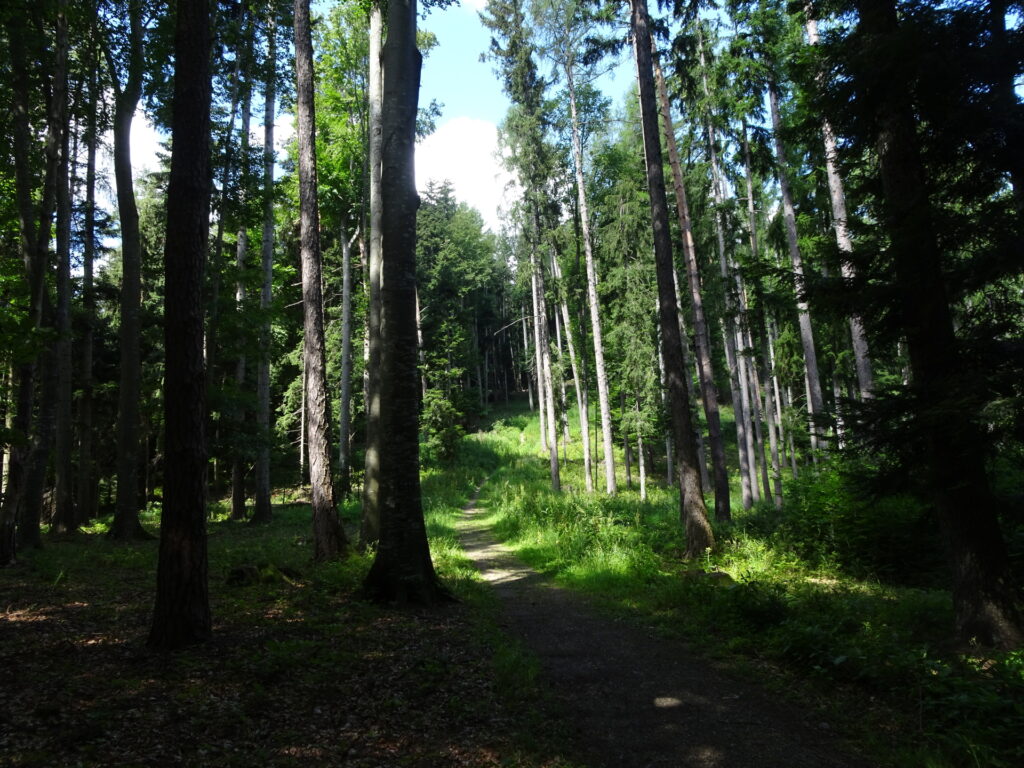 On the trail towards <i>Hochwoarta Kreuz</i>