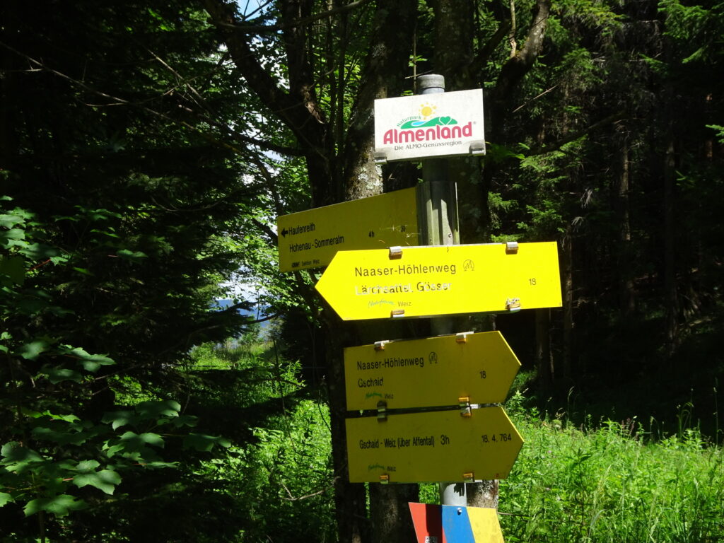 At <i>Wachthaussattel</i>, follow the trail towards <i>Lärchsattel Gösser</i>