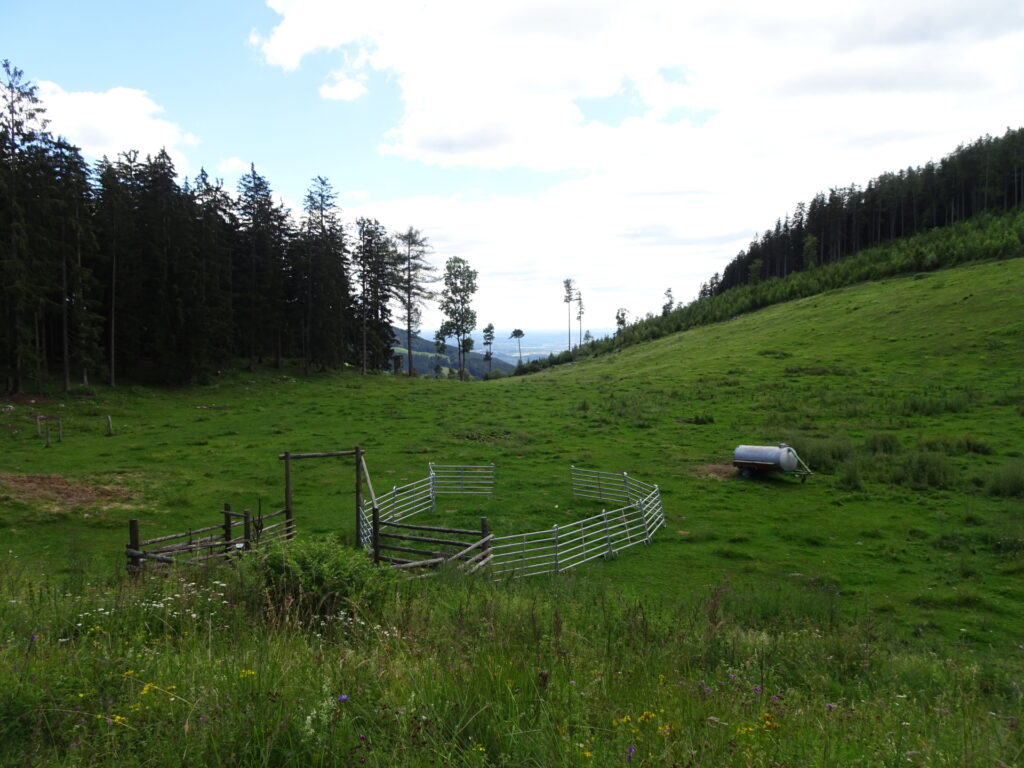 View from the trail towards <i>Gösser</i>