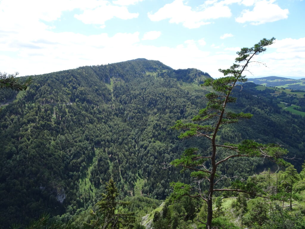 View from the <i>Gösserwand</i>