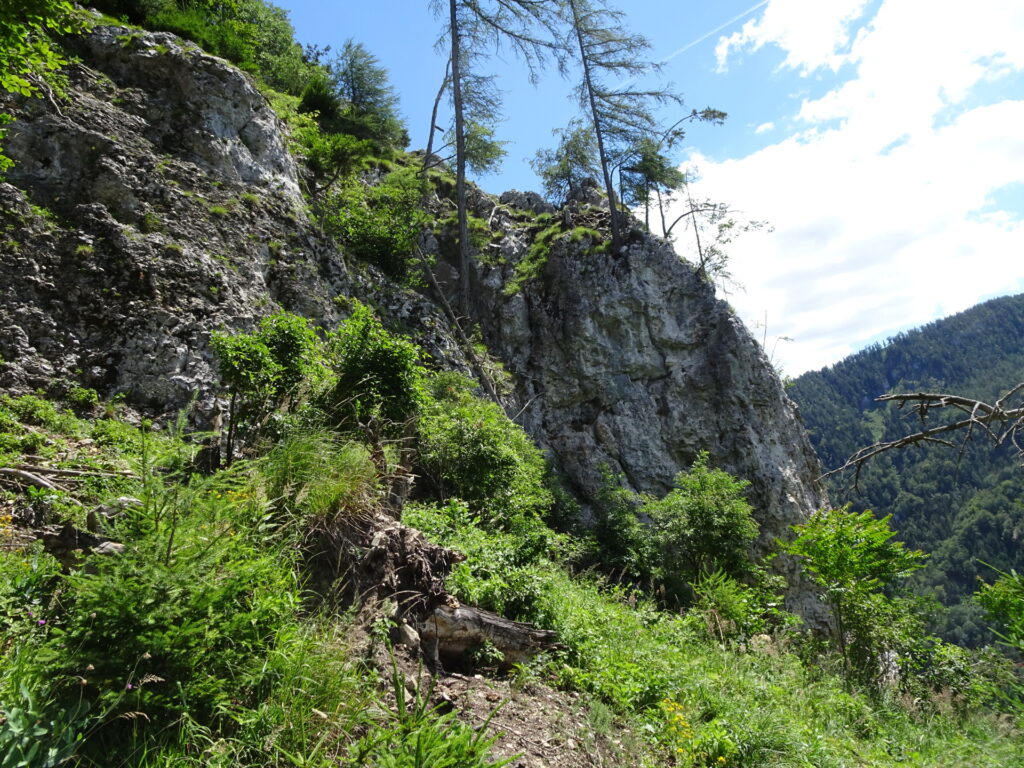 View back to <i>Gösserwand</i>