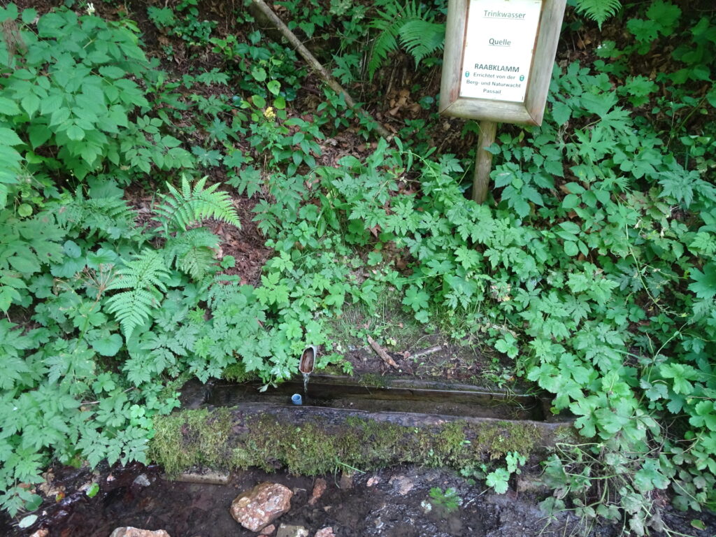 Drink water source directly next to the trail