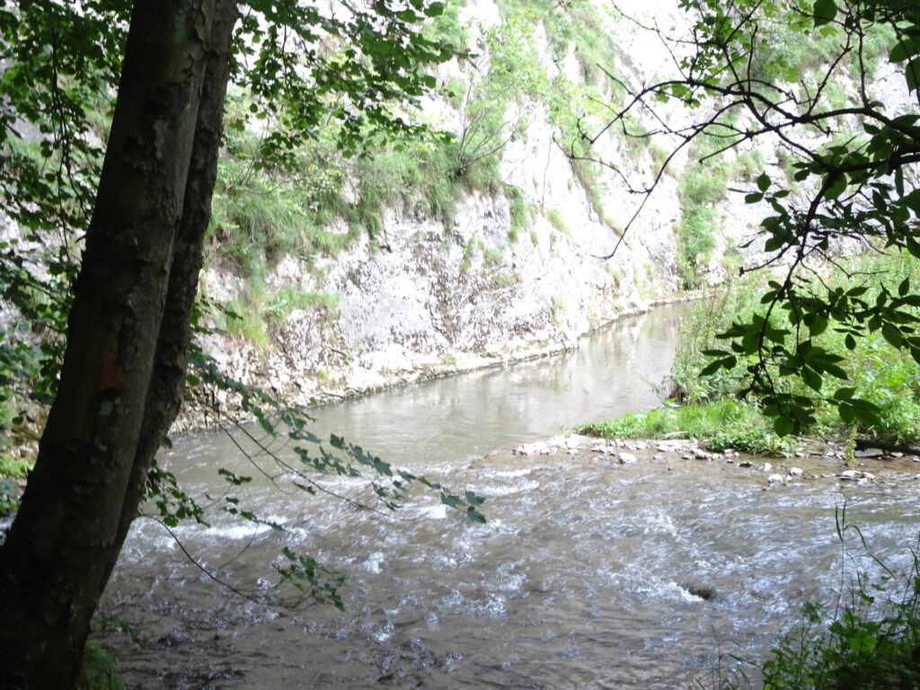 Inside the <i>Raabklamm</i>