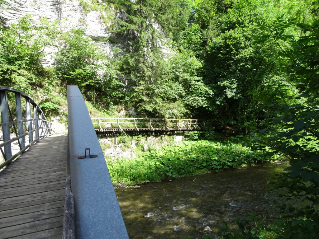 Inside the <i>Raabklamm</i>