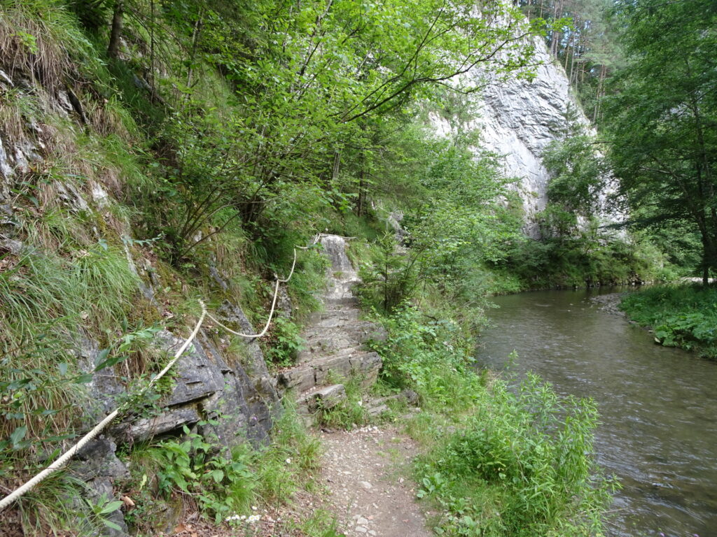 Inside the <i>Raabklamm</i>