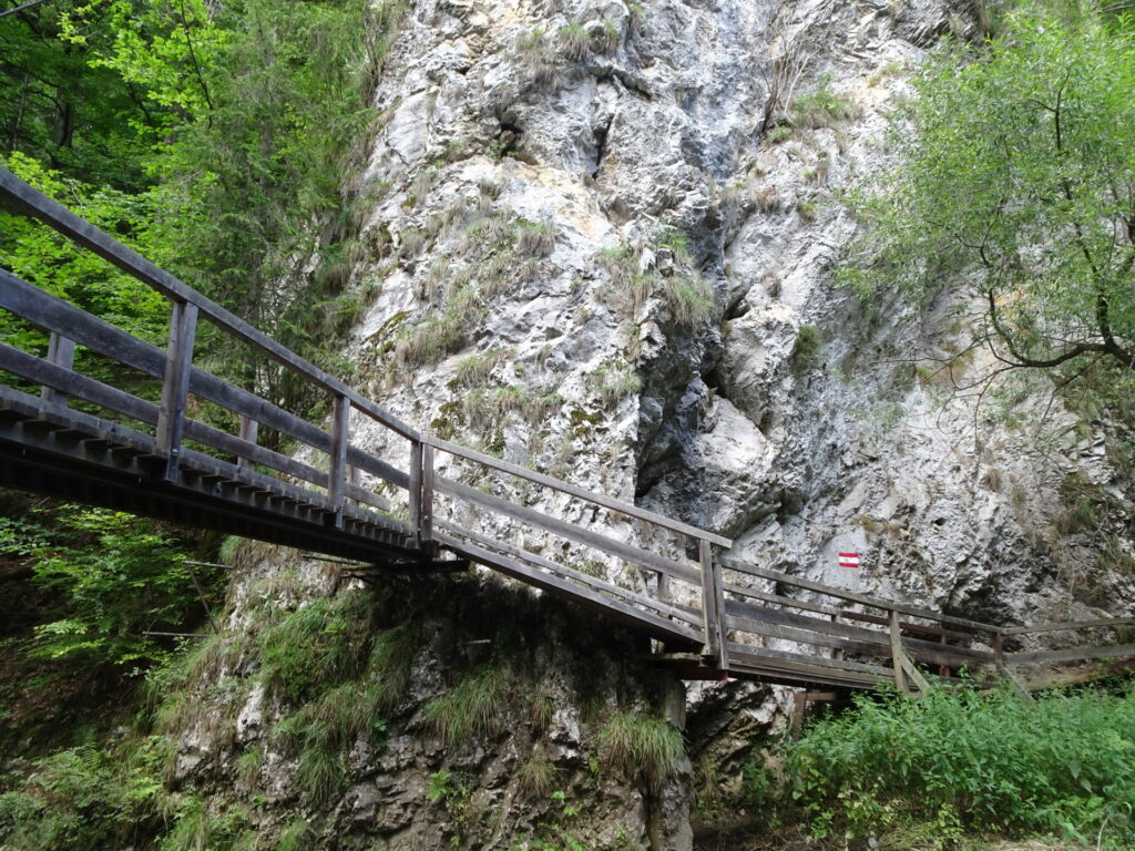 Inside the <i>Raabklamm</i>