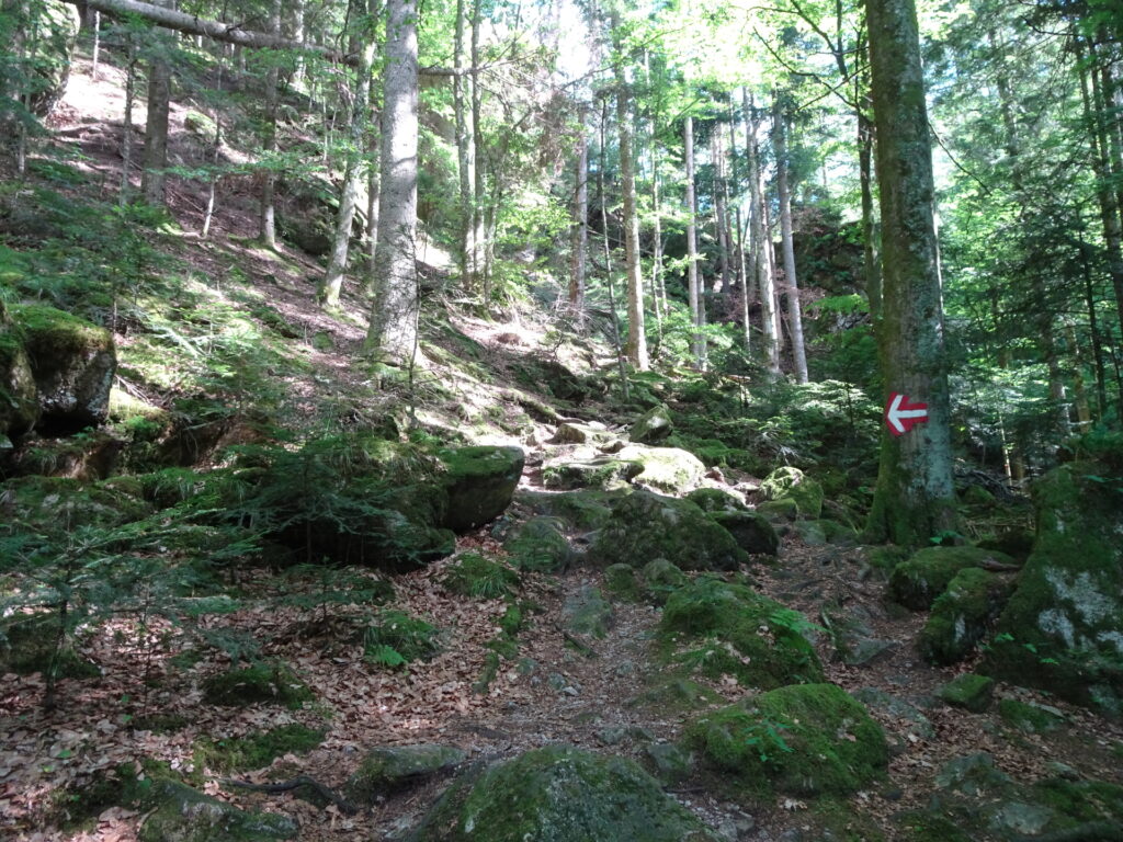 Inside the <i>Raabklamm</i>