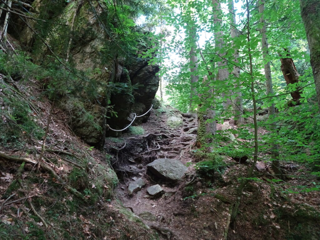 Inside the <i>Raabklamm</i>