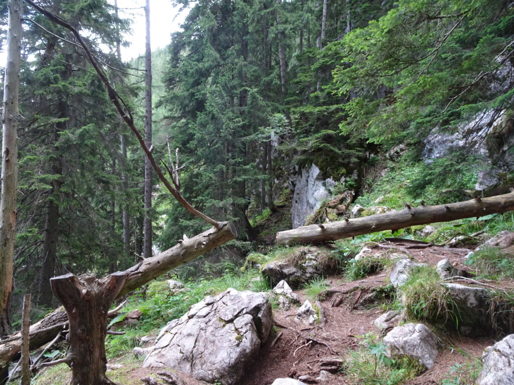 THIS is the correct path (start of <i>Jägersteig</i>)!