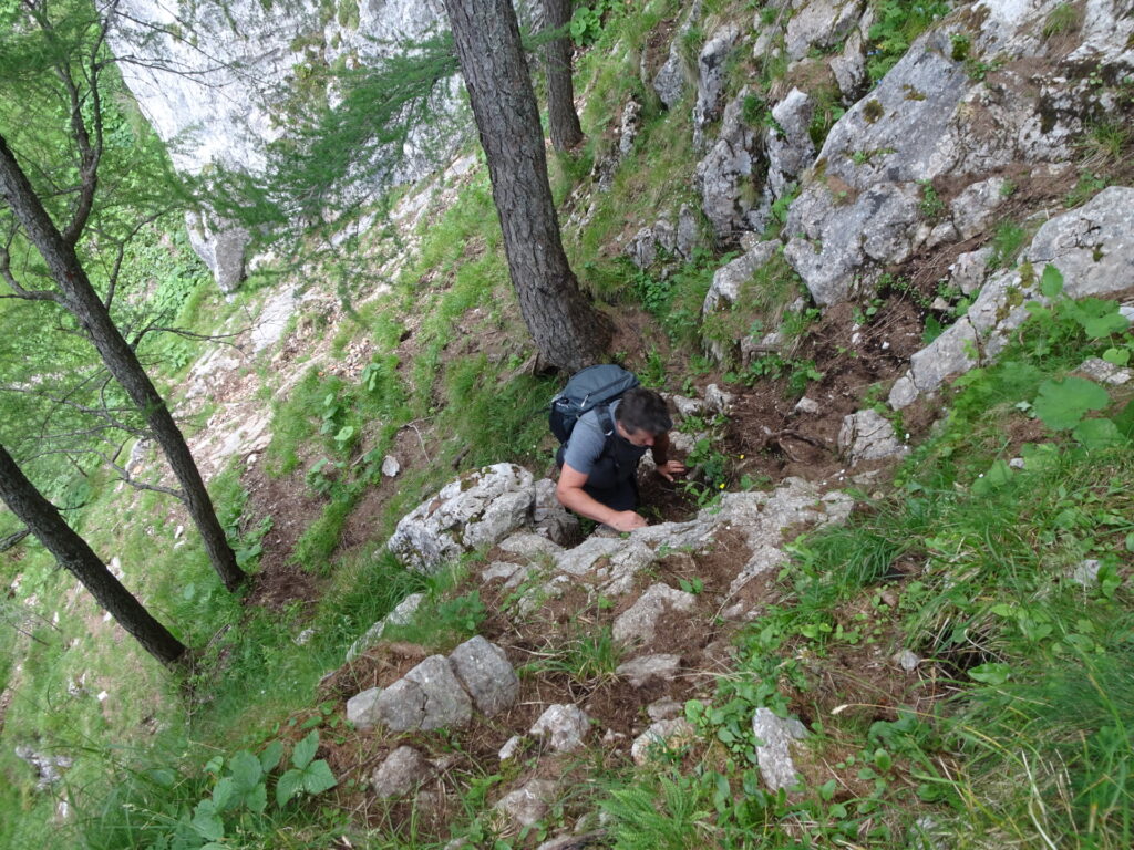 Robert climbing up <i>Jägersteig</i>