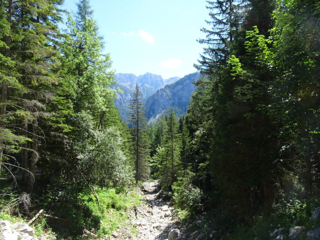 View from <i>Russenstraße</i>